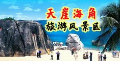 樱花h视频海南三亚-天崖海角旅游风景区